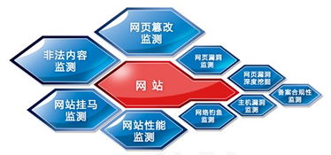 網神信息咨詢服務 數(shù)字化時代的專業(yè)導航